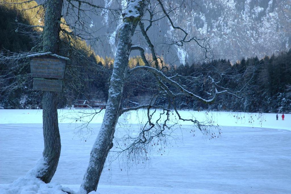 Hotel Haus Tirolerland Oetz Pokój zdjęcie